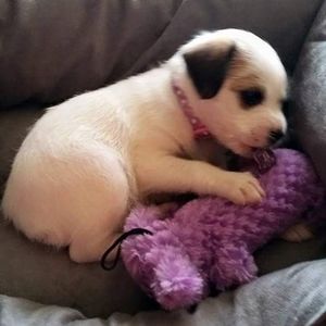 Meet your Posher, Bill